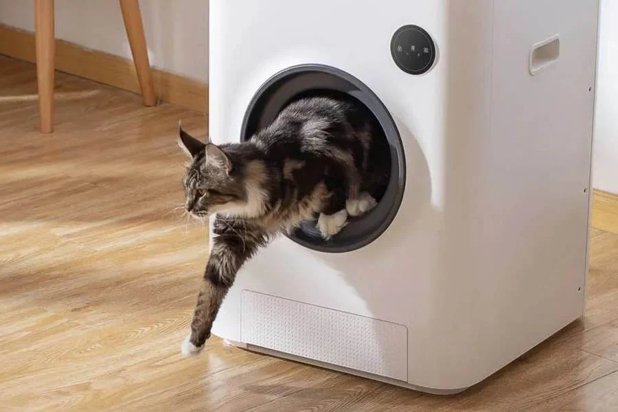 self cleaning litter box for cats