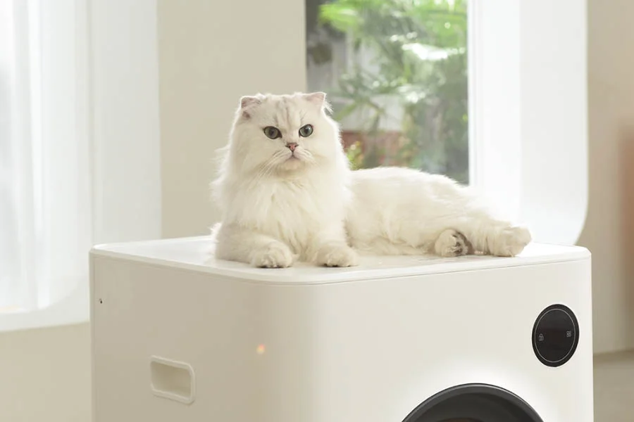 cat robot litter